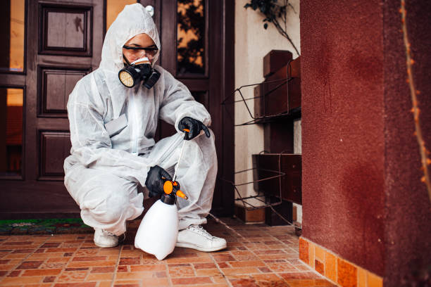 Attic and Crawl Space Rodent Treatment in Edgewood
